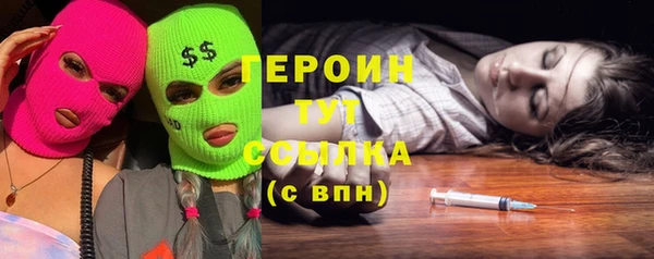 гидра Богородицк