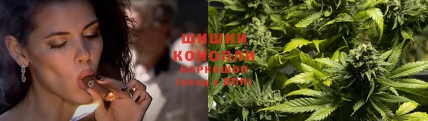 гидра Богородицк