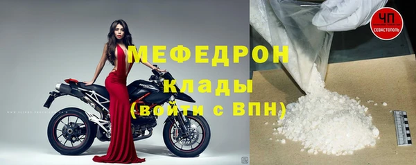 гидра Богородицк