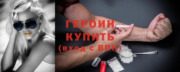 гидра Богородицк
