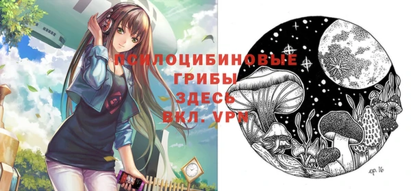 эйфоретик Бронницы
