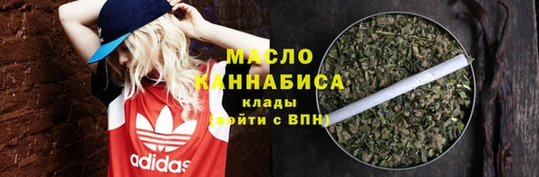 гидра Богородицк