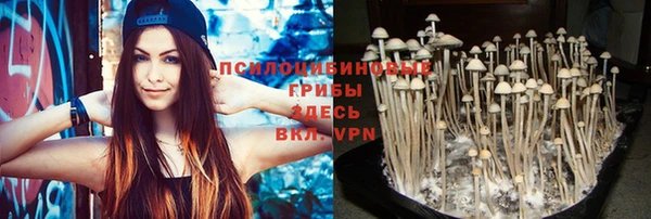 MESCALINE Верея